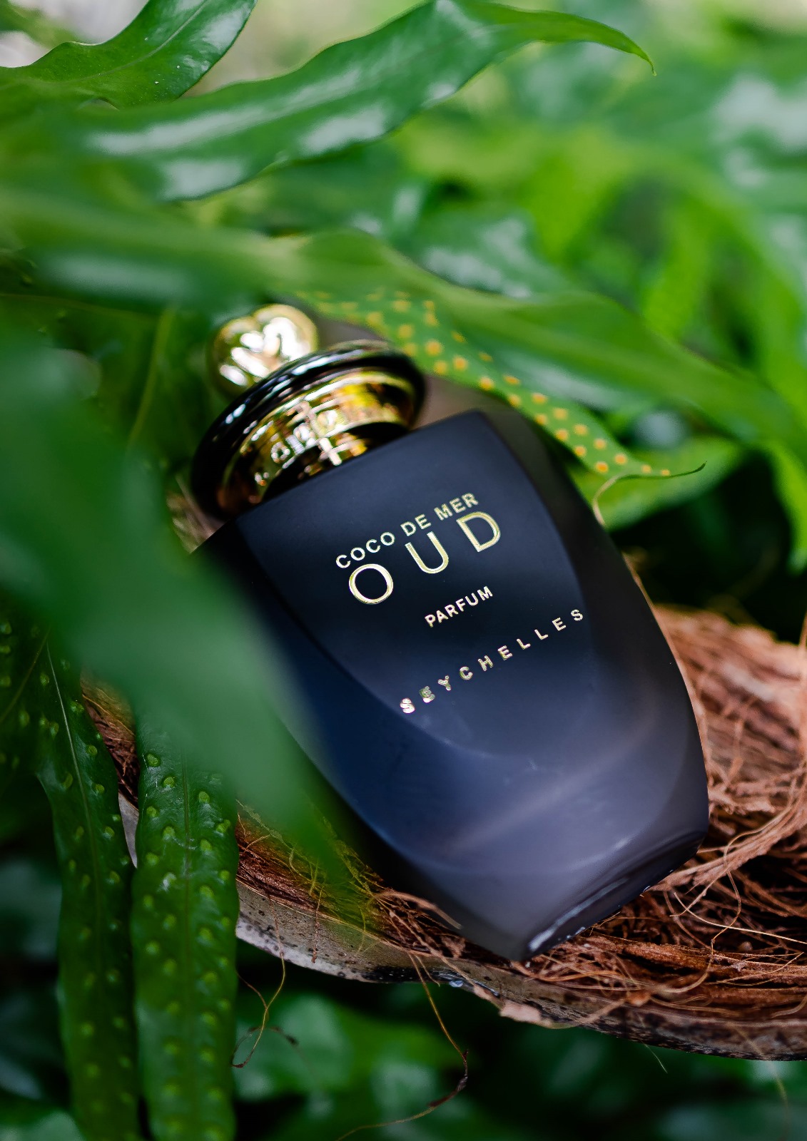 Perfumy Coco de Mer Oud w czarnym flakonie pośród tropikalnych liści – luksusowy zapach inspirowany Seszelami